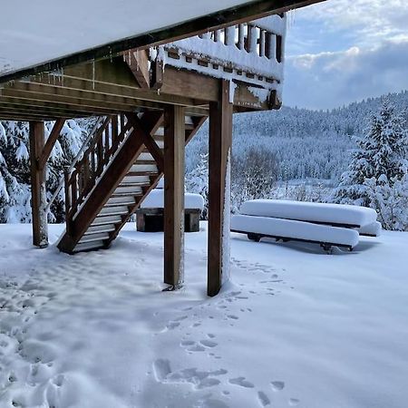 Вилла Chalet Situe Au Grand Valtin Ban-sur-Meurthe-Clefcy Экстерьер фото