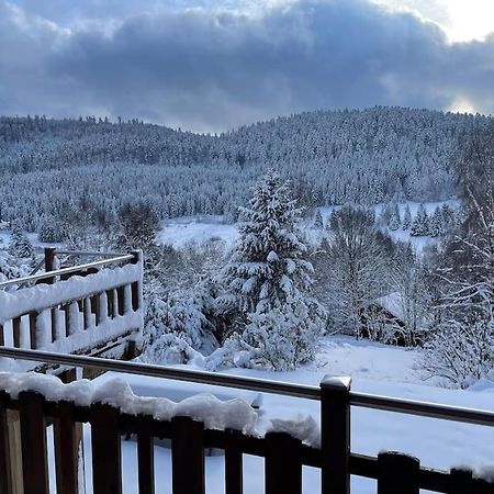 Вилла Chalet Situe Au Grand Valtin Ban-sur-Meurthe-Clefcy Экстерьер фото