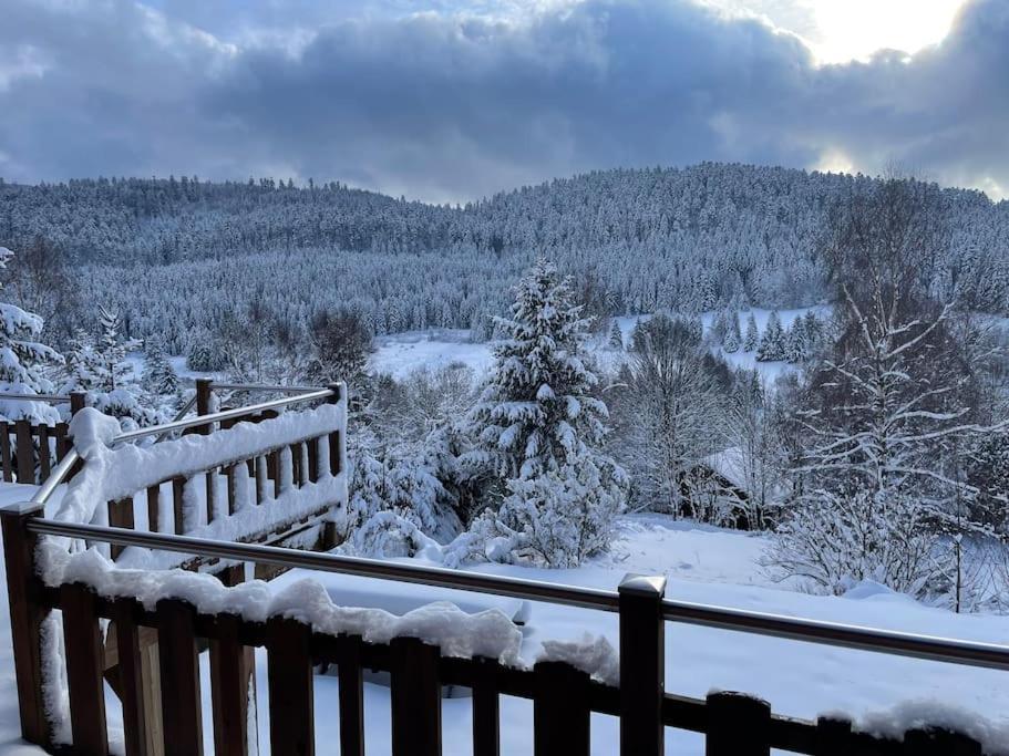 Вилла Chalet Situe Au Grand Valtin Ban-sur-Meurthe-Clefcy Экстерьер фото